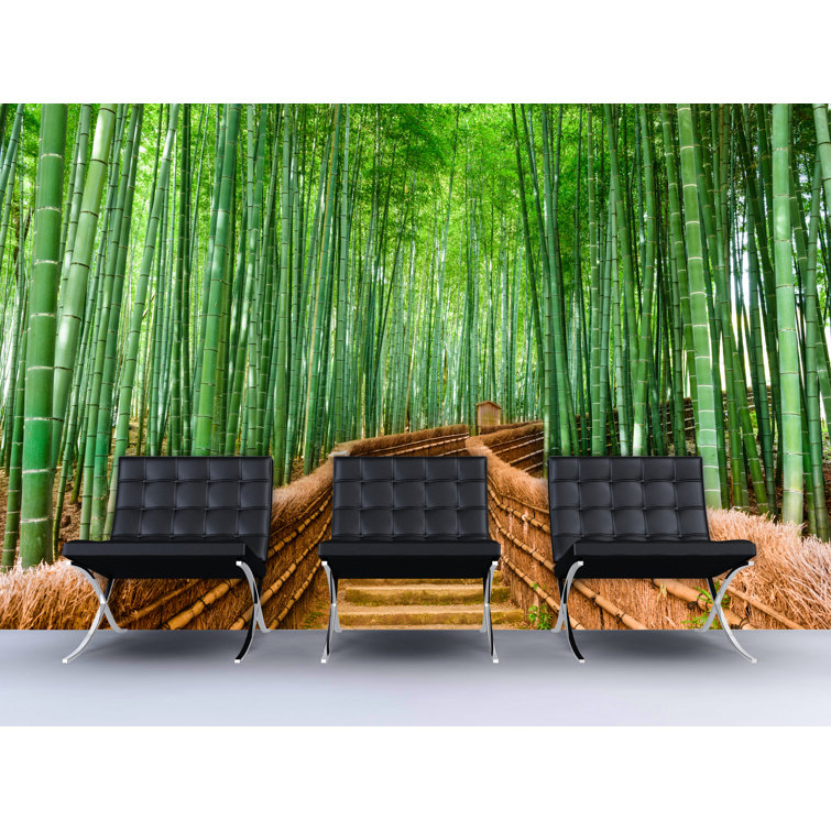 Bayou Breeze Mancelona Peel & Stick Wall Mural Wayfair